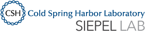 Siepel-Lab Siepel Lab